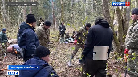 Новосибирские поисковики подвели итоги летних экспедиций