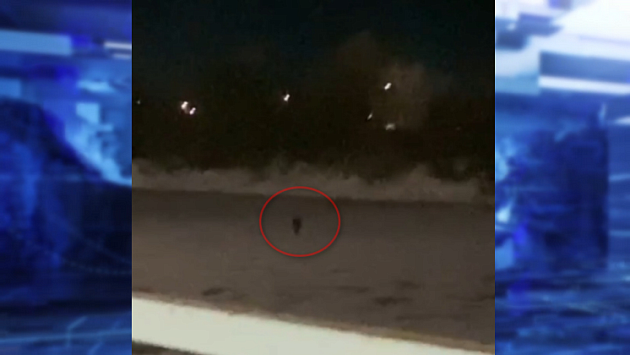 В Новосибирске беспечные дети снова вышли на опасный тонкий лёд