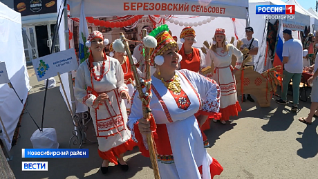 ВЕСТИ Новосибирск