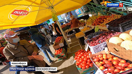 ВЕСТИ Новосибирск