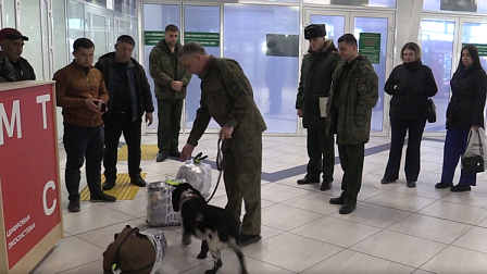 В новосибирском аэропорту и на вокзале ловят уклонистов от службы в армии