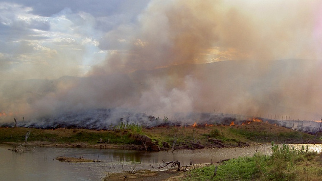 Новосибирске пожарные потушили возгорание на заброшенной свалке