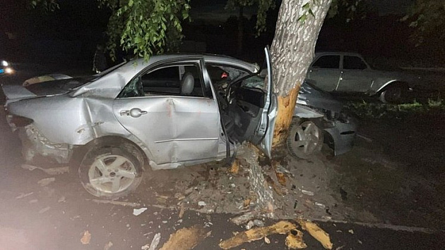 Новосибирец без прав влетел на машине в дерево среди ночи