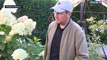 Новосибирский садовод собрал на даче коллекцию овощей редких сортов 