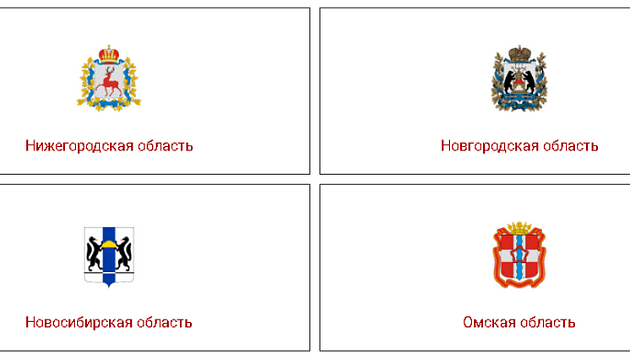 Новосибирская область вступила в борьбу за звание Юнармейской столицы 2026 года