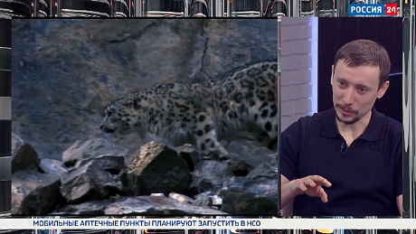 ВЕСТИ Новосибирск