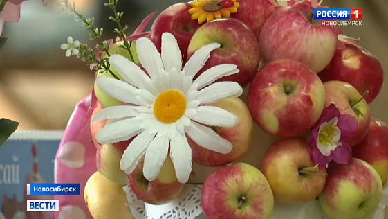 Чёрные перцы и фиолетовые помидоры: осенняя ярмарка начала работу в Новосибирске