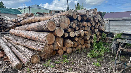 Новосибирца обвинили в незаконной вырубке леса на три миллиона рублей