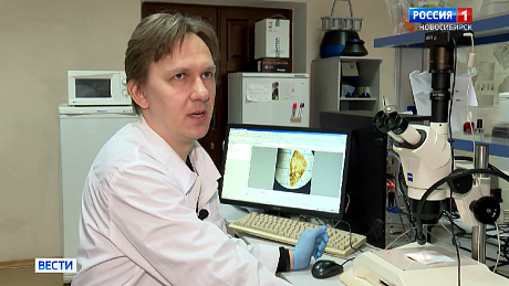 ВЕСТИ Новосибирск