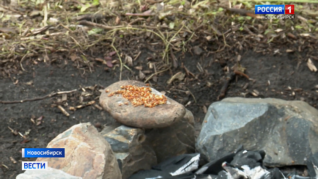 Мұғаліммен супер порно видео