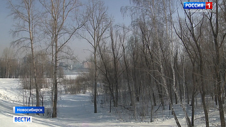 ВЕСТИ Новосибирск