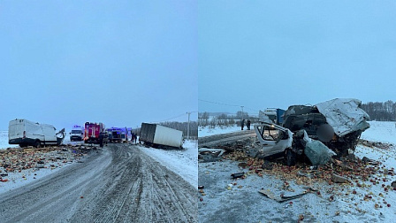 На трассе под Новосибирском водитель фургона погиб в столкновении с грузовиком 
