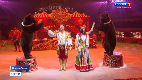 ВЕСТИ Новосибирск