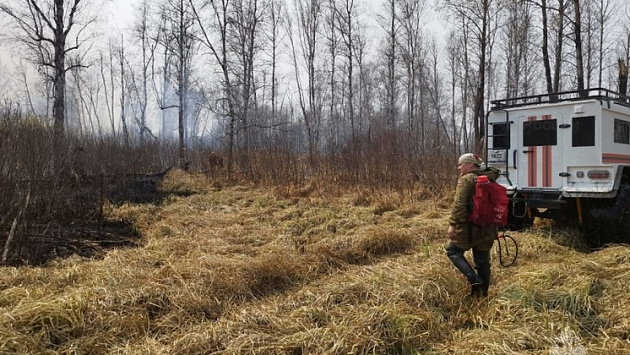 В Новосибирской области целую деревню эвакуировали из-за горящей травы с полей