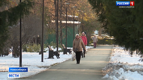 ВЕСТИ Новосибирск