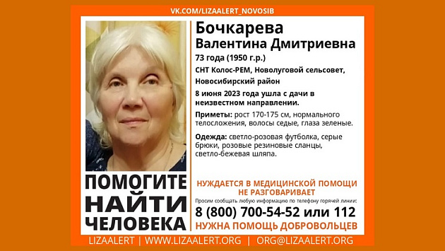 Под Новосибирском 73-летняя немая пенсионерка вышла с дачи и пропала без вести