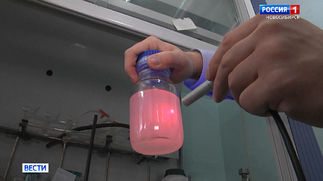 ВЕСТИ Новосибирск