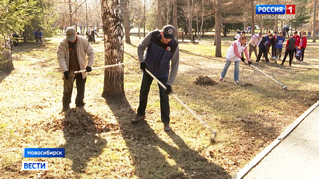 ВЕСТИ Новосибирск