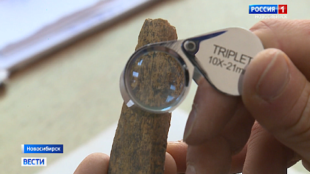 Взаимодействие древнего человека с животным миром изучат новосибирские учёные