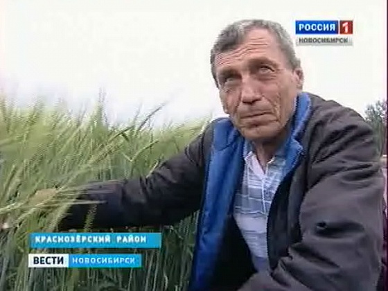 Крестьяне ожидают лучший урожай за последние годы