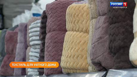 ВЕСТИ Новосибирск