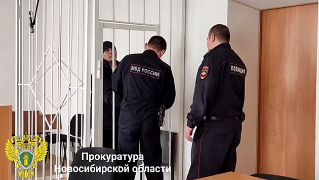 Убившего бывшую жену на глазах маленькой дочери новосибирца осудили на 12 лет