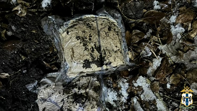 Под Новосибирском поймали драгдилера и нашли почти 13 килограммов «соли»