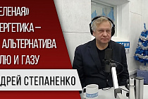 Перспективы перехода на «зелёную» энергетику обсудили в Новосибирске
