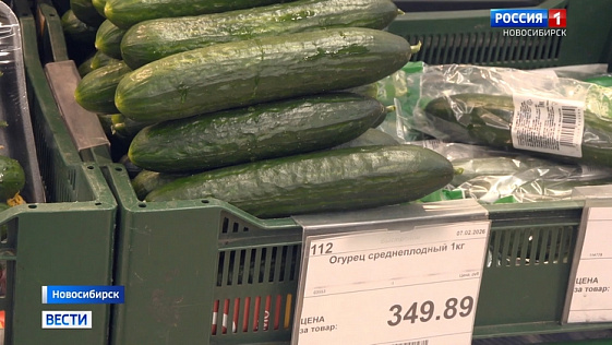 Прокуроры решили проверить резкий скачок цен на огурцы в новосибирских магазинах